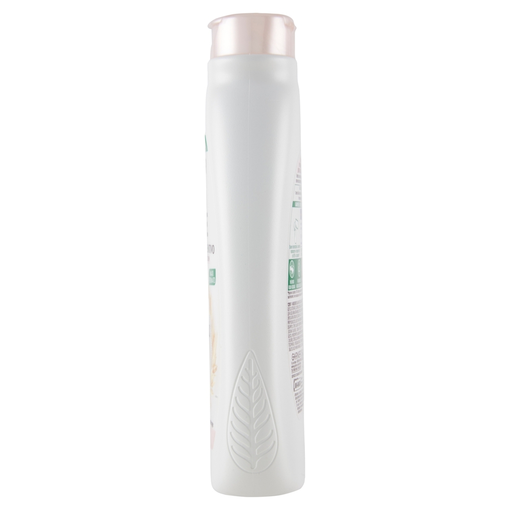 Garnier Ultra Dolce Shampoo Delicatezza D'Avena capelli delicati Crema di riso e latte d'avena 300ml